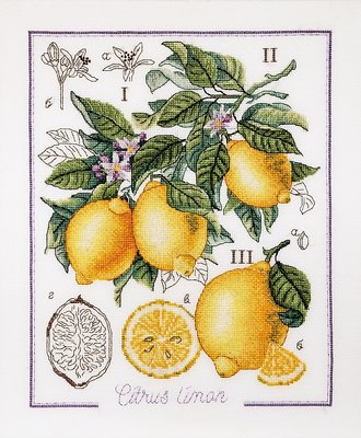 1260 Ботанічний батл- Лимон 1260 Alisena фото