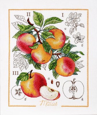 1261 Ботанічний батл- Яблуко 1261 Alisena фото