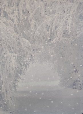 КФОВ-1186 Канва для вишивки з фоновим малюнком 32 каунт рівномірна+ білі поля КФОВ-1186 Alisena фото
