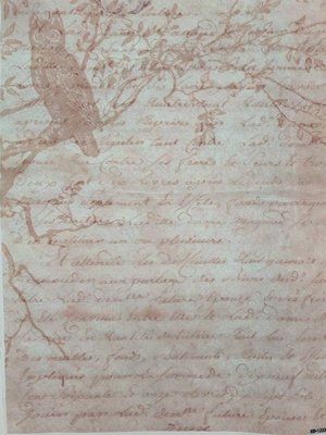 КФО-1222 Канва для вишивки з фоновим малюнком 32 каунт рівномірна КФО-1222 Alisena фото