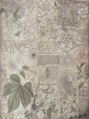 КФО-1263 Канва для вишивки з фоновим малюнком 32 каунт рівномірна КФО-1263 Alisena фото